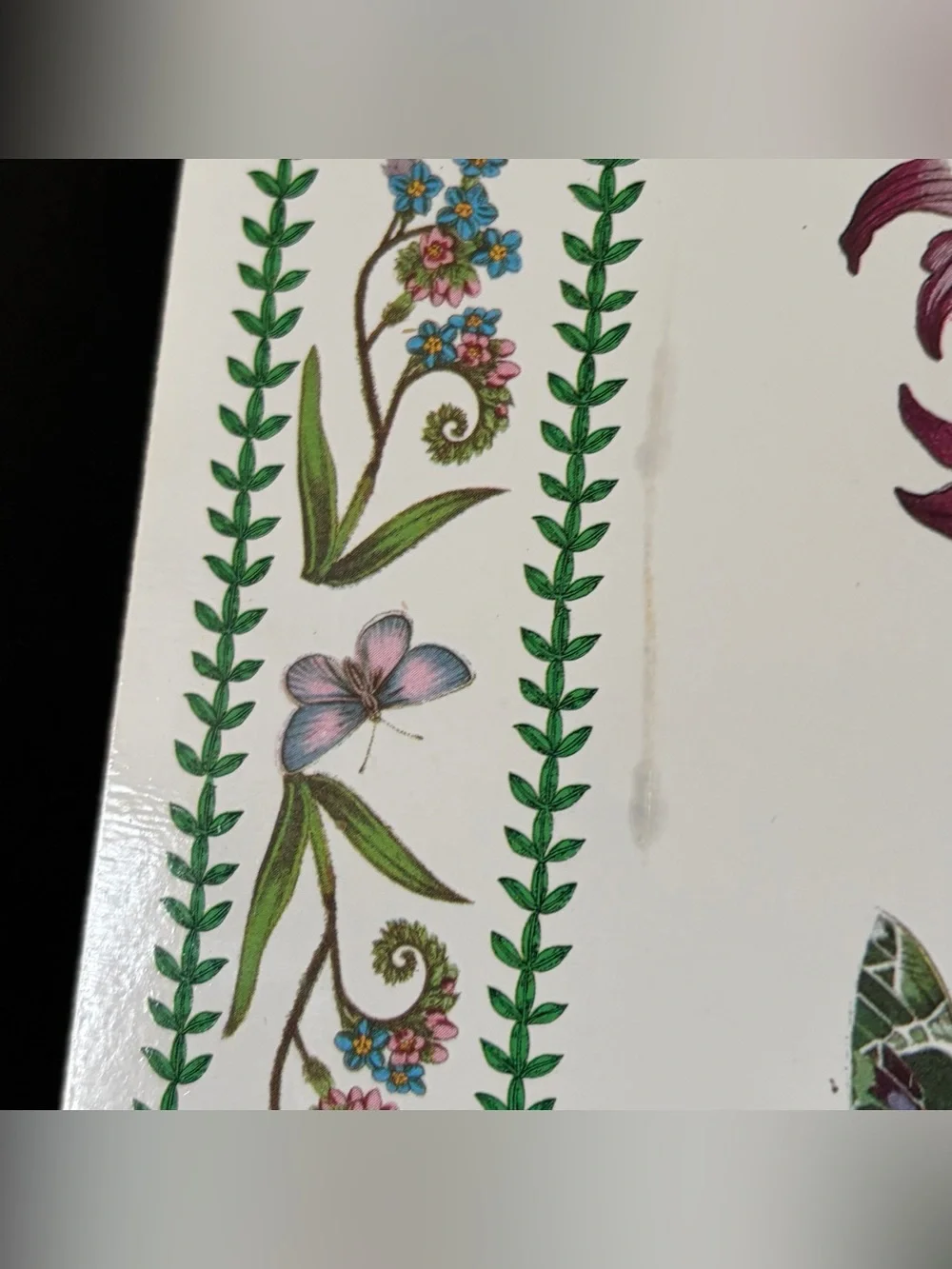 SET of 6 Botanical Placemats by Portmeirion